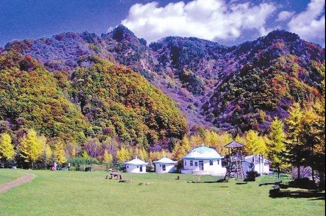 自然田园丨一起去泾源看油菜花吧!