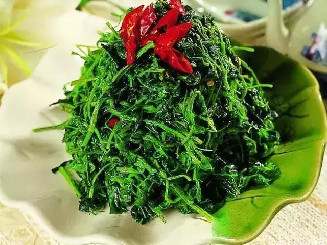 地域文化丨中卫这回真出名了!